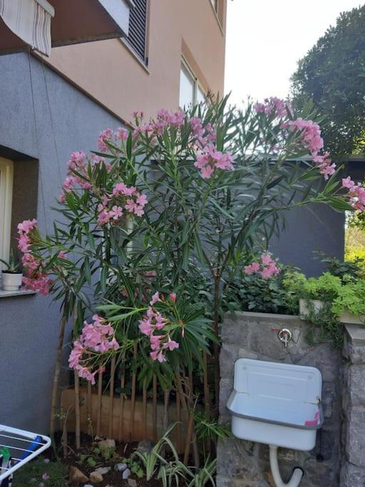 Apartman Modric Draga Mošćenička Draga Exterior foto